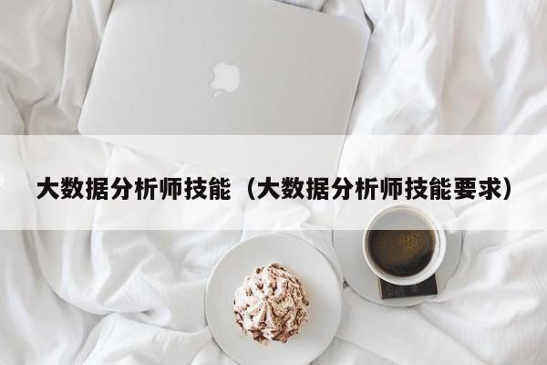 大数据分析师技能（大数据分析师技能要求）