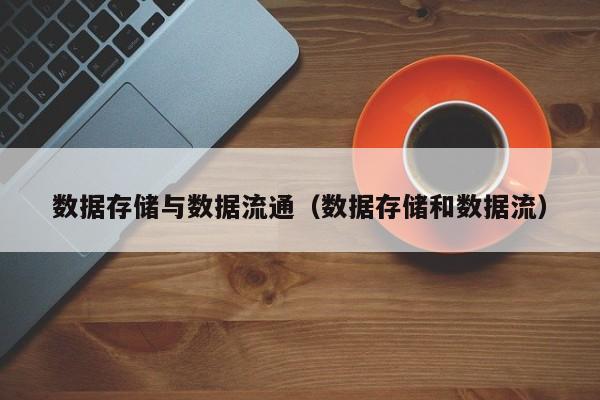 数据存储与数据流通（数据存储和数据流）