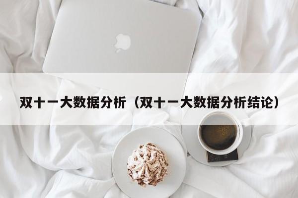 双十一大数据分析（双十一大数据分析结论）