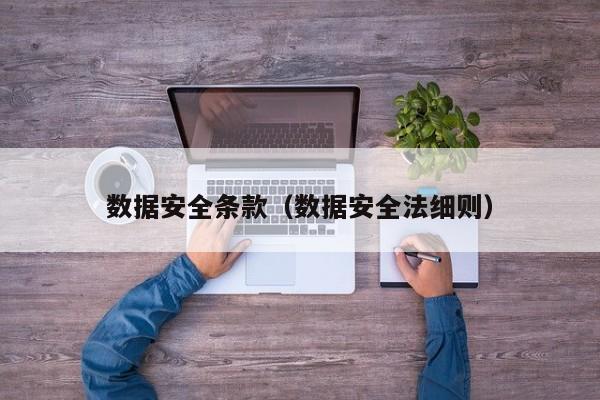 数据安全条款（数据安全法细则）