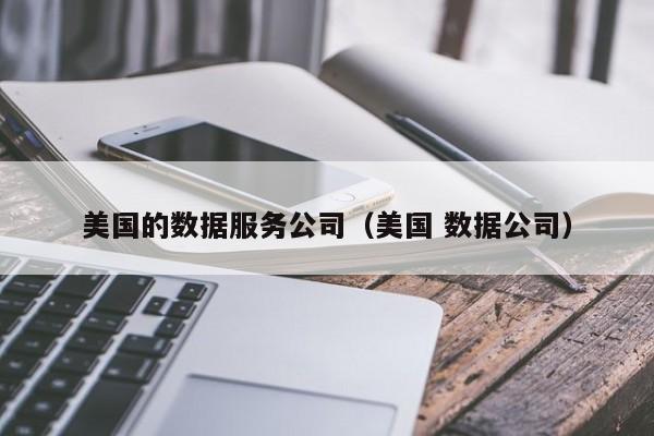 美国的数据服务公司（美国 数据公司）