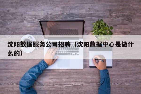 沈阳数据服务公司招聘（沈阳数据中心是做什么的）