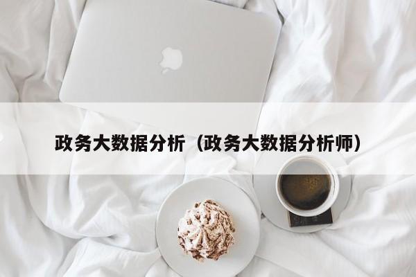 政务大数据分析（政务大数据分析师）