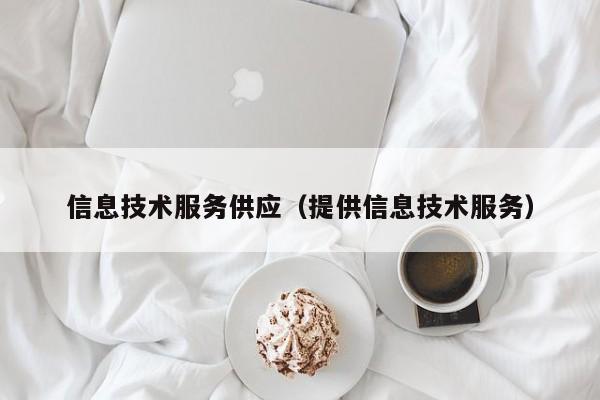 信息技术服务供应（提供信息技术服务）