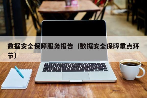 数据安全保障服务报告（数据安全保障重点环节）