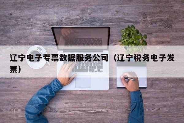 云开·全站APPLY体育官方平台-辽宁电子专票数据服务公司（辽宁税务电子发票）