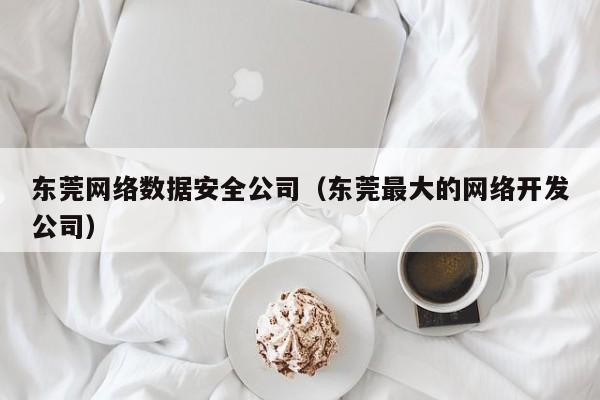 东莞网络数据安全公司（东莞最大的网络开发公司）