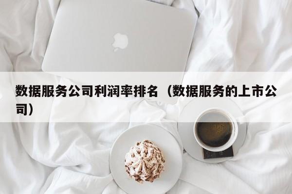数据服务公司利润率排名（数据服务的上市公司）