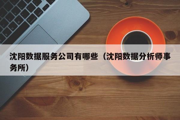 沈阳数据服务公司有哪些（沈阳数据分析师事务所）