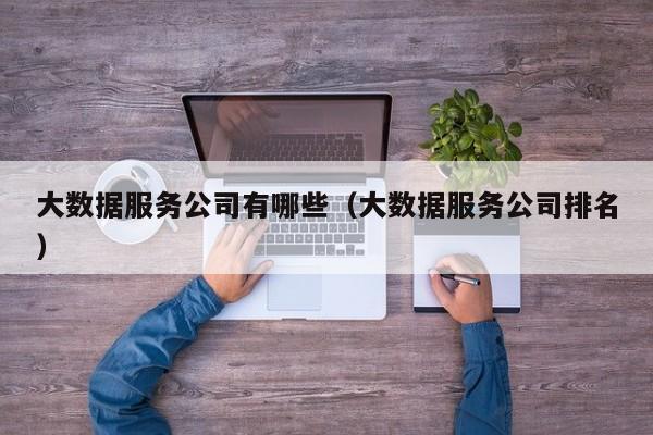 大数据服务公司有哪些（大数据服务公司排名）