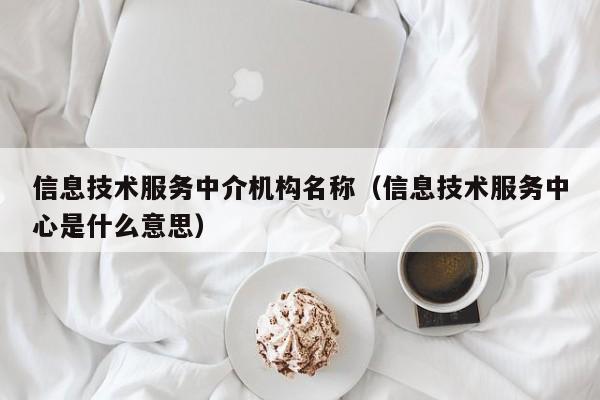 信息技术服务中介机构名称（信息技术服务中心是什么意思）