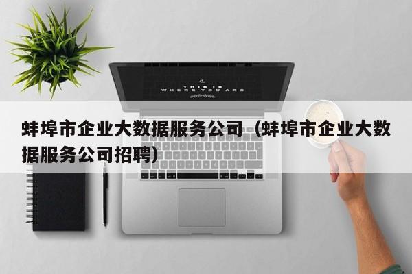蚌埠市企业大数据服务公司（蚌埠市企业大数据服务公司招聘）