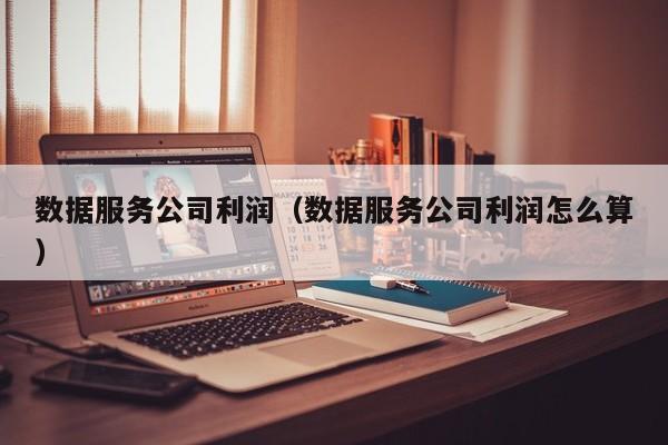 数据服务公司利润（数据服务公司利润怎么算）
