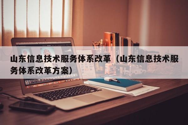 山东信息技术服务体系改革（山东信息技术服务体系改革方案）