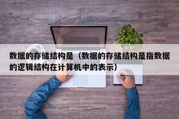 数据的存储结构是（数据的存储结构是指数据的逻辑结构在计算机中的表示）