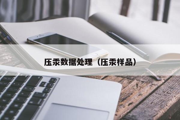 压汞数据处理（压汞样品）
