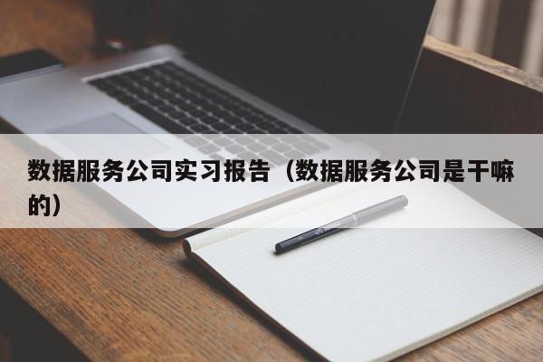 数据服务公司实习报告（数据服务公司是干嘛的）